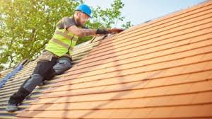 Best Sheet Metal Roofing  in Guadalupe, AZ